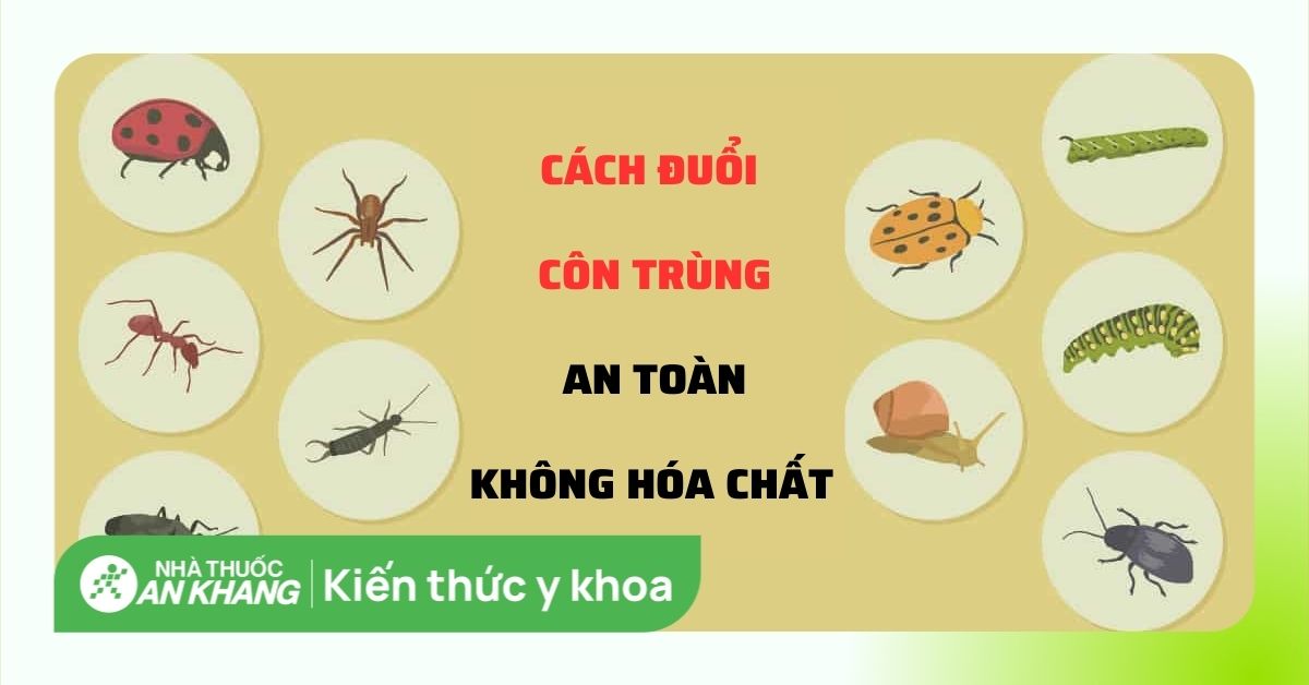 Hướng dẫn cách chống côn trùng trên tàu
